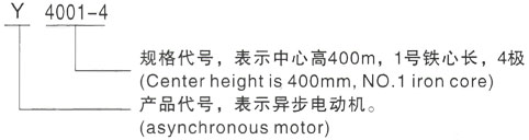 西安泰富西玛Y系列(H355-1000)高压YKK4503-4/560KW三相异步电机型号说明